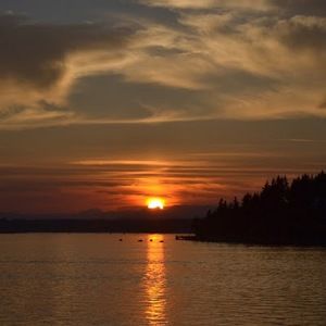 Meet your Posher, Bitsy